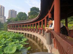-龙头寺公园