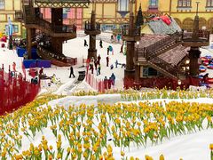 -广州热雪奇迹