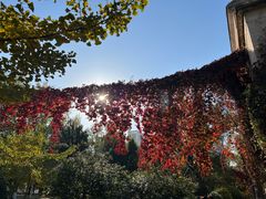 -辽宁大学(崇山校区)