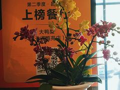 -大鸭梨(天通西苑店)
