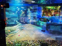 -酷嗒动物文化乐园(cutezoo西溪乐天城店)