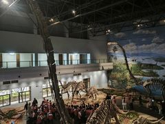 -自贡恐龙博物馆