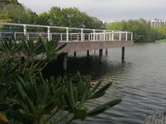 -新江湾城公园