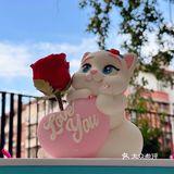 今年生日的快乐被这只翘tun小奶猫承包了[爱心]