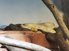 -南京金牛湖风景区