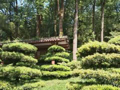 -南山植物园