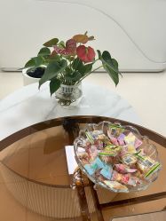 -薇兰专业脱毛连锁机构