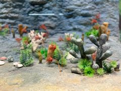 -辽宁古生物博物馆