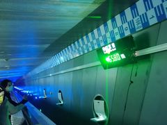 -白鹤梁水下博物馆