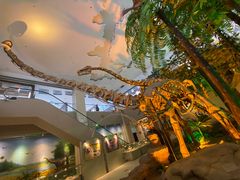 -甘肃地质博物馆