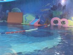 -ABC Swim亲子游泳俱乐部(河西店)