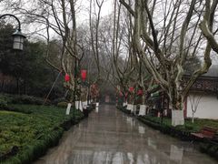 -杭州黄龙洞