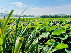 -云龙湖旅游景区