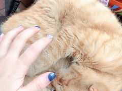 -安徽工业大学(秀山校区)