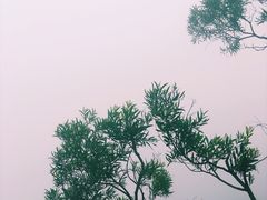 -东部华侨城