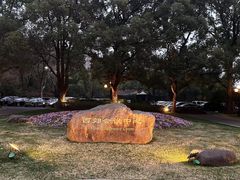 -西郊宾馆-地面停车场