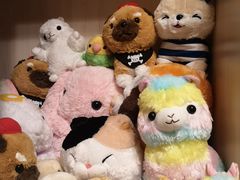 -LLJ夹机占(正佳广场店)