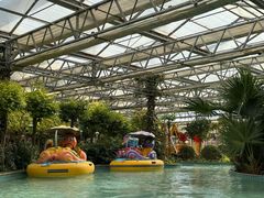 -南宫五洲植物乐园