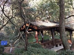 -杭州半山国家森林公园