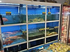 -金龙·打边炉(南京西路店)