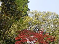 -常熟方塔园