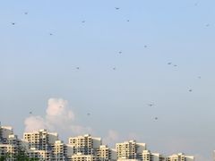 -碧桂园十里银滩