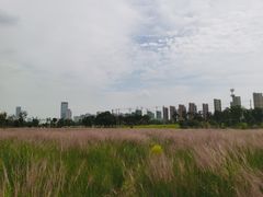 -映月湖中央公园