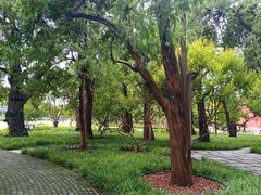 -北京市劳动人民文化宫(太庙)