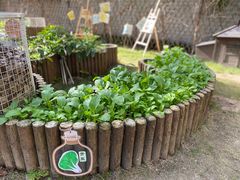 -昱南托育园.托班晚托.寒暑假班