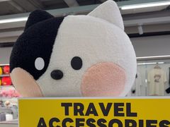 -line friends(明洞旗舰店)