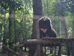 -关西瀑布
