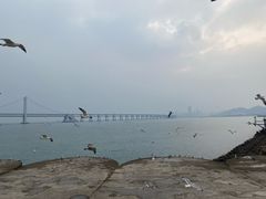 -星海广场