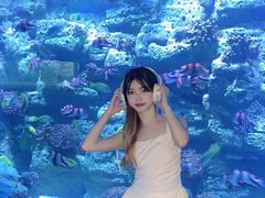 -左海海底世界