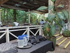 -热带雨林自然公园