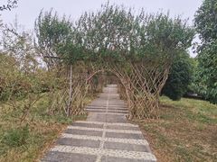 -瑶湖郊野森林公园