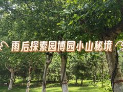 -河北省园博园