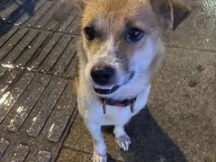 -老五井羊汤馆(总店)