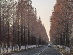 -黄海国家森林公园