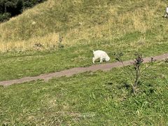 -新疆那拉提国家旅游度假区