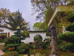 -南山植物园
