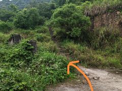 -南山植物园