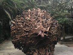 -龙达温泉生态城