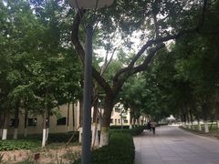 -北京国家会计学院