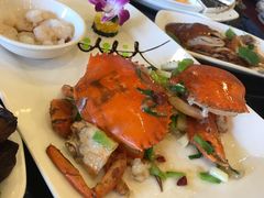 -新南华大酒店(广中店)