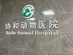 -瑞鹏瑞爱宠物医院·全科·猫科·血液透析中心(龙头寺店)