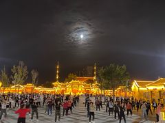 -药王庙(安国市)