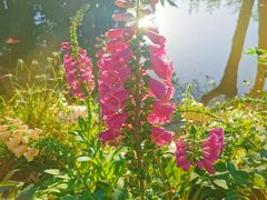 -人民公园(罗湖区)