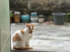 -拜鲁耶动物诊疗中心·宠家动物医院