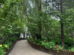 -太阳宫公园