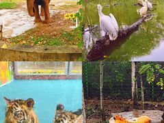 -济南野生动物世界